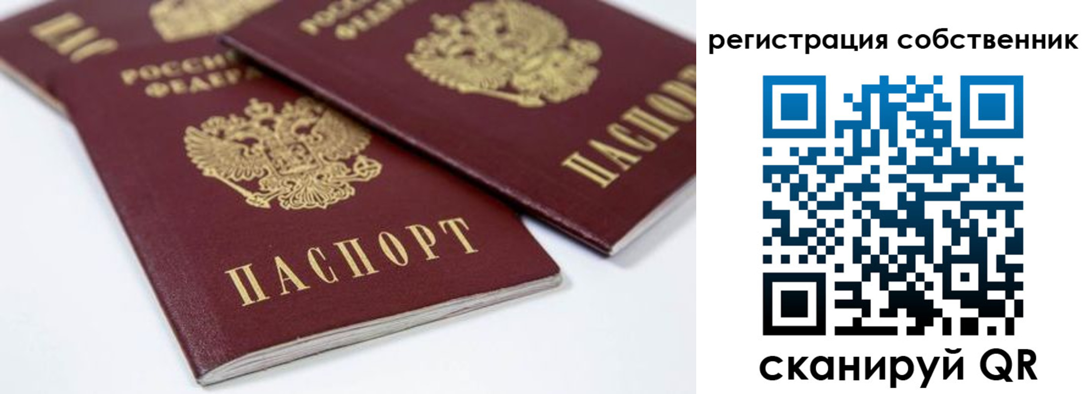 прописка для школы в Юже